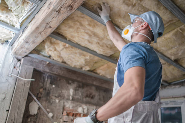 Best Insulation Replacement Services  in Hermantown, MN