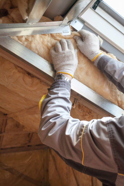 Best Attic Insulation Installation  in Hermantown, MN