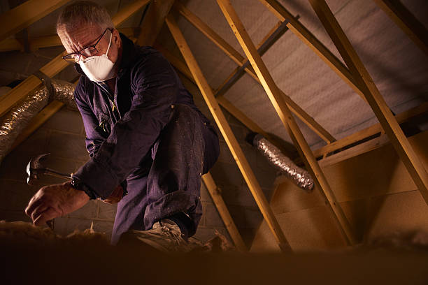 Best Insulation Installation Cost  in Hermantown, MN