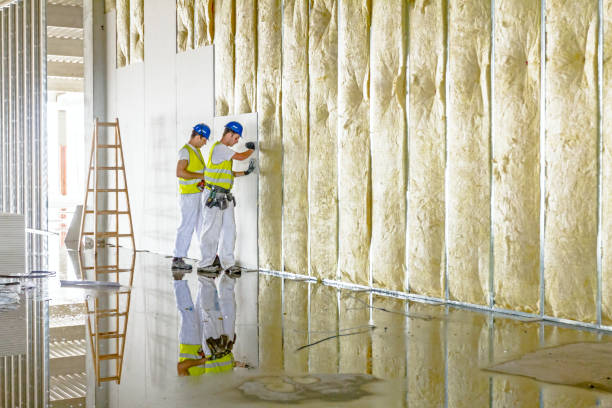 Best Residential Insulation Services  in Hermantown, MN